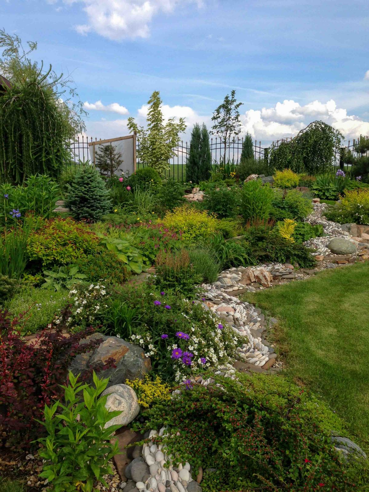 Contemporary terrace garden with planted containers