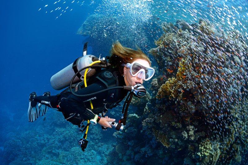 TidalKit Rush - Your Gateway to Underwater Adventures