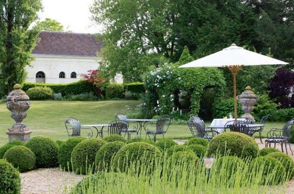 Garden designer walking a château parterre near the vines
