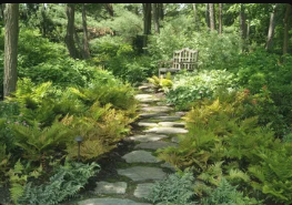 Sustainable outdoor living area with ecological planting and natural seating materials